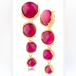 New! Jardin Graduated Sculpted Circle Linear Drop Earrings (3008) NWOT